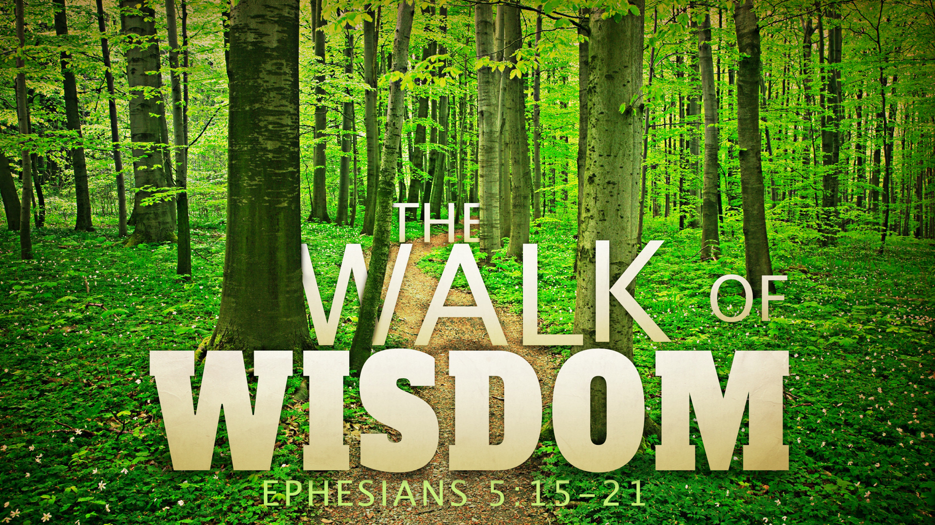 Walking With Wisdom (Ephesians 5:15-21) — saralandchristians.com